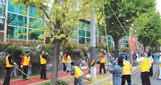 가로수 은행나무 열매 털기 연합 봉사활동